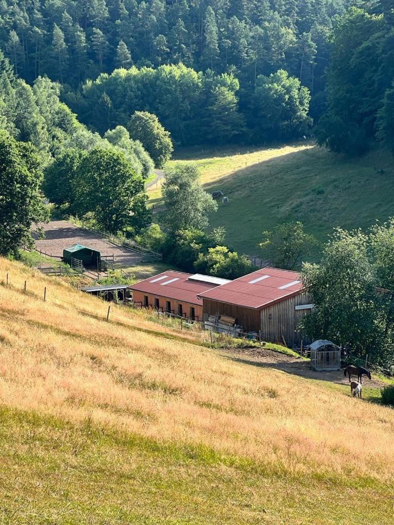 Ferienwohnung Beim Pferdehof Neuenstein  Exterior photo